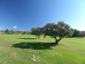 golf properties marbella